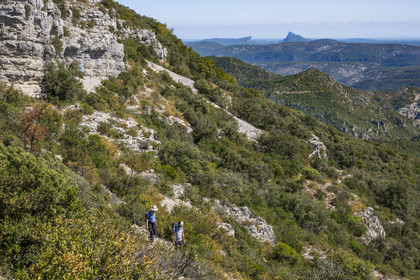 France, Herault, the Causses and the Cevennes, Mediterranean agro pastoral cultural landscape, listed as World Heritage by UNESCO, Montpeyroux, hikers on the path from Mont Saint Baudille towards Saint-Guilhem-le-Désert, the Pic Saint-Loup facing the Hortus in the background