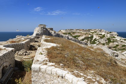 France, Bouches du Rhone, Marseille, Calanques National Park, archipelago of Frioul islands, Pomegues island, French battery of the semaphore (1880-1883)