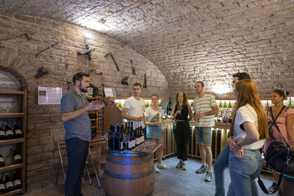 France, Cote d'Or, vineyard of the Hautes Côtes de Nuits, Villars Fontaine, tasting of Domaine de Montmain wines