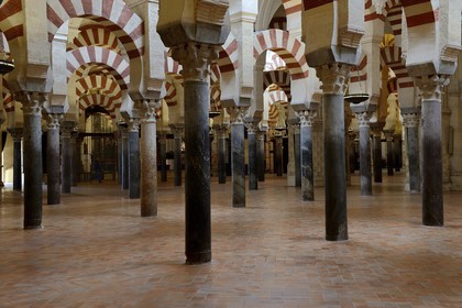Spain, Andalusia, Cordoba, historical center listed as World Heritage by UNESCO, Mezquita, the Mosque cathedral, the forest of arches and colonnades illustrates the monumentality of the Umayyad Art of Cordoba