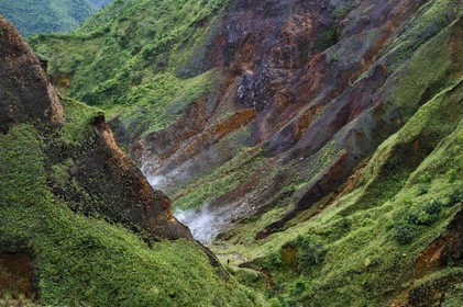 Caribbean, Dominica Island, Castle Bruce, Morne Trois Pitons National Park listed as World heritage by UNESCO, Valley of Desolation with fumaroles and hot springs, hike on the trail to Boiling Lake