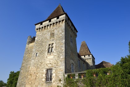 France, Dordogne, Périgord Vert, Saint Jean de Cole, labelled Les Plus Beaux Villages de France (The Most beautiful Villages of France), Marthonye or Marthonie castle