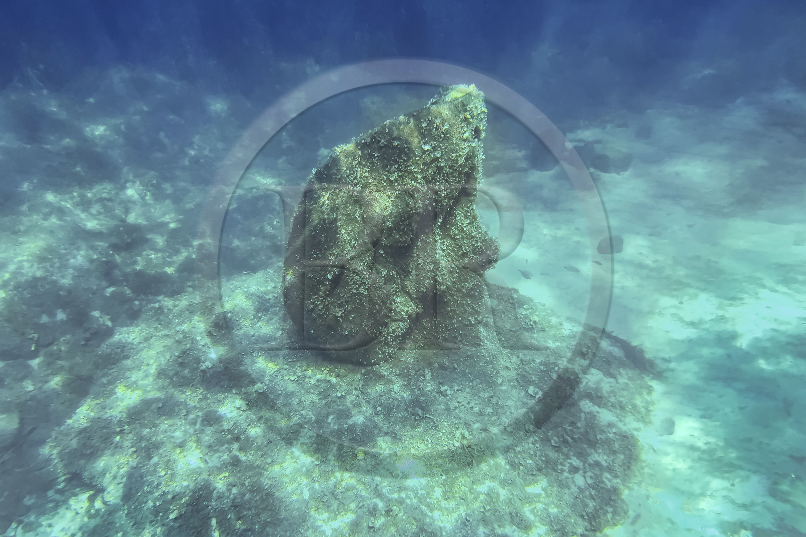 France, Alpes-Maritimes (06), Cannes, Iles de Lérins, Ile Sainte-Marguerite, l’écomusée sous-marin formé de statues monumentales de l’artiste Jason deCaires Taylor, moulées selon les visages de 6 Cannois et immergées à une distance allant de 84 à 132 mètres du rivage pour une profondeur de 3 à 5 mètres France, Alpes-Maritimes (06), Cannes, Iles de Lérins, Ile Sainte-Marguerite, l’écomusée sous-marin formé de statues monumentales de l’artiste Jason deCaires Taylor, moulées selon les visages de 6 Cannois et immergées à une distance allant de 84 à 132 mètres du rivage pour une profondeur de 3 à 5 mètres