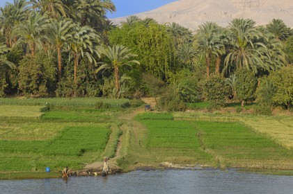 Egypt, Upper Egypt, Nile Valley, the Nile river between Luxor and Esna