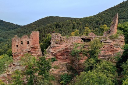 France, Bas-Rhin (67), Parc naturel r