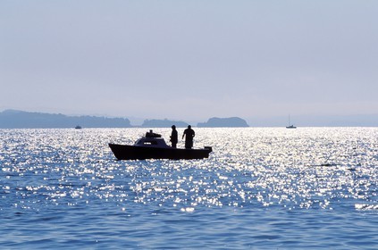 France, Finistère (29), un bateau de pêche dans la rade de Brest