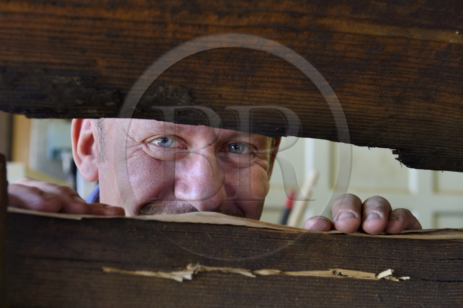 France, Bas-Rhin (67), Muttersholtz, le Grand Ried, le batelier Patrick Unterstock réparant une barque à fond plat en bois