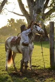 Argentina, Buenos Aires Province, San Antonio de Areco, estancia La Bamba de Areco, gaucho removing the harness of his horse