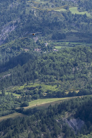France, Drôme (26), parc naturel régional des Baronnies provençales, Rémuzat, plateau Saint-Laurent, vol d'un vautour fauve (Gyps fulvus) au dessus de la vallée de l'Oule