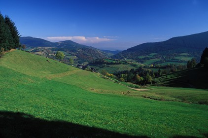 France, Haut Rhin, route des Crêtes (watershed road) near the Bonhomme pass