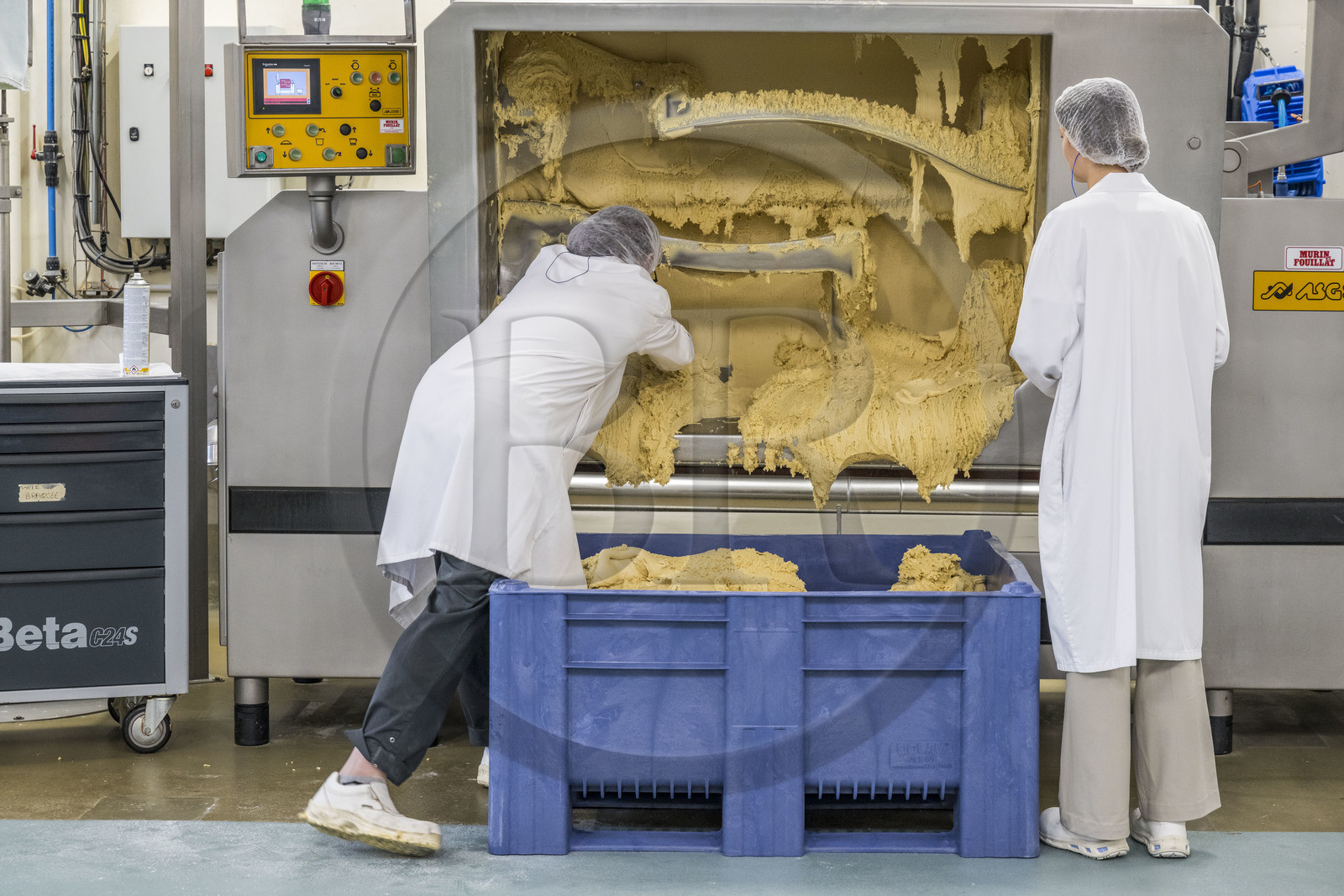 France, Côte-d'Or (21), Dijon, la fabrique de pains d'épices de la la maison Mulot et Petitjean, fabrication de la pâte mère