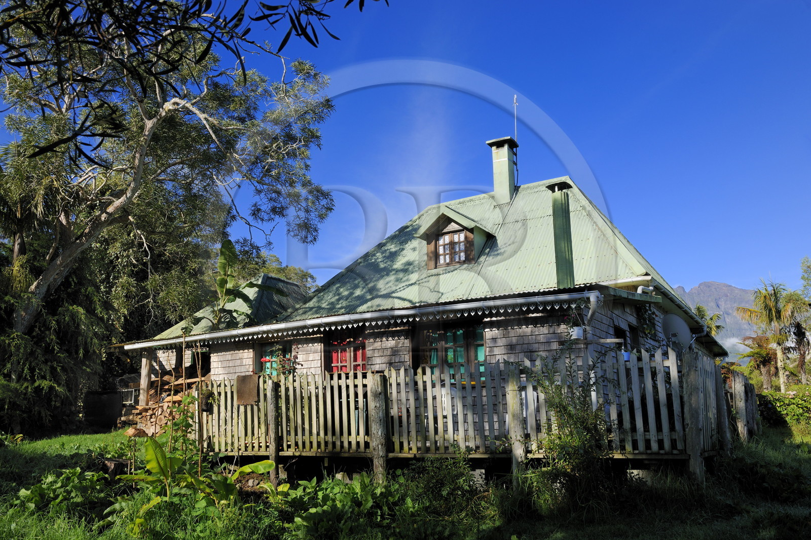 France, Reunion island (French overseas department), Belouve forest, Belouve lodging