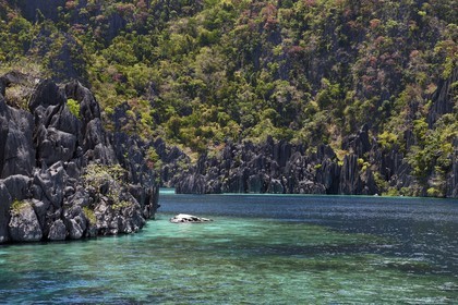 Philippines, Calamian Islands dans le nord de Palawan, Coron Island Natural Biotic Area, lagon et falaises de calcaire du Permien d'origine jurassique