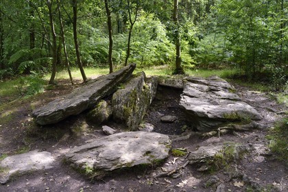 France, Morbihan (56), forêt de Brocéliande, monument mégalithique de l'âge du Bronze appelé le Tombeau des Géants