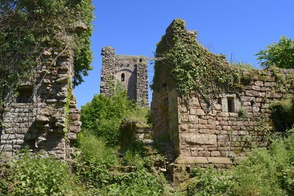 France, Bas-Rhin (67),  Saverne, chateau du Grand Geroldseck du XIIème siècle, donjon carré en pierres à bossage avec murs de 3 mètres d'épaisseur