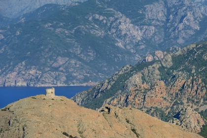 France, Corse du Sud, Golfe de Porto, listed as World Heritage by UNESCO, the Capo Rosso and the Genovese Tower of Turghiu (Turghio) in the background (aerial view)