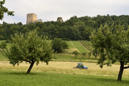 France, Haut Rhin, Sundgau, Leymen, Landskron Castle