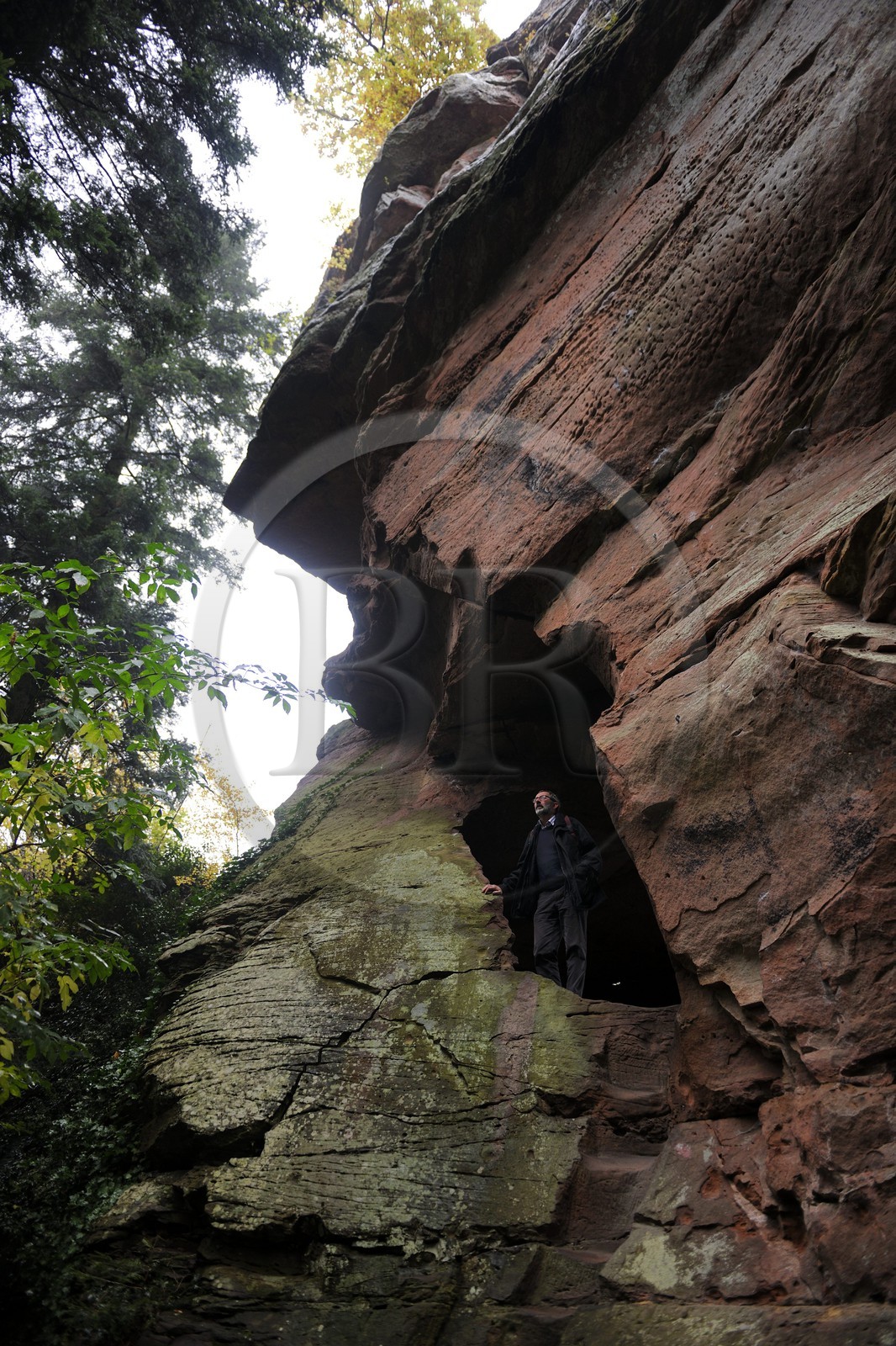 France, Bas-Rhin (67), château du Vieux-Windstein