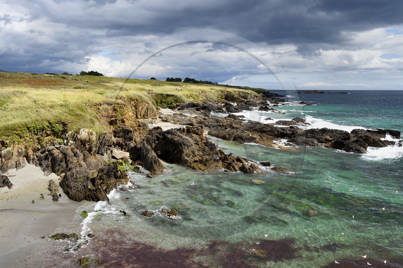 France, Finistère (29), Moelan-sur-Mer, le littoral entre Kerfany les Pins et la plage de Trenez sur le chemin de Grande Randonnée GR 34 ou sentier des douaniers France, Finistère (29), Moelan-sur-Mer, le littoral entre Kerfany les Pins et la plage de Trenez sur le chemin de Grande Randonnée GR 34 ou sentier des douaniers