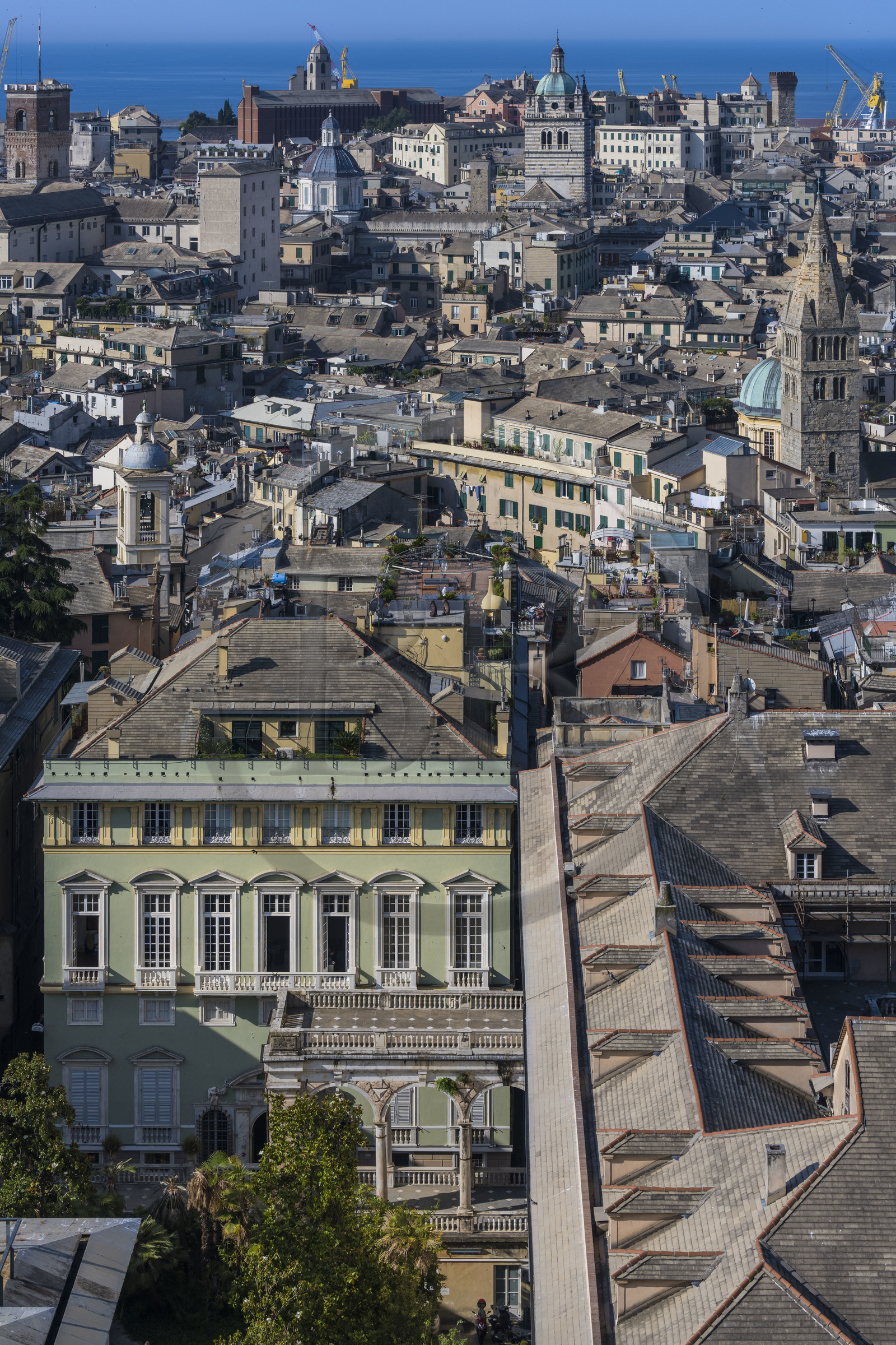 Italie, Ligurie, Gênes, le Palazzo di Baldassarre Lomellini qui est un des palais des Rolli classés Patrimoine Mondial de l'UNESCO dans la Strada Nuova aujourd’hui via Garibaldi, la Basilique Santa Maria delle Vigne et la cathédrale (Cattedrale di San Lorenzo) en arrière plan