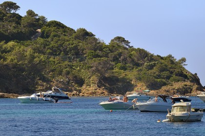 France, Var (83), Iles d'Hyères, Parc national de Port Cros, Ile du Levant, domaine naturiste d'Héliopolis
