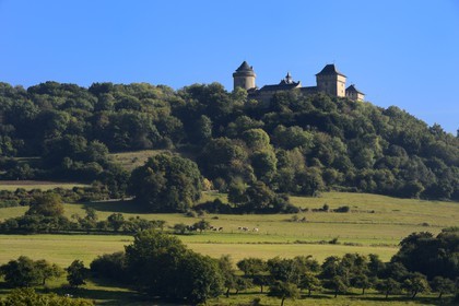 France, Moselle, Manderen, Malbrouck castle