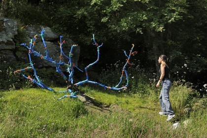 Norvège, Rogaland, région de Stavanger, Land Art sur l'île de Bru (Stavanger 2008), Forest of Words de Jorn Ronnau et Torild Wardenaer