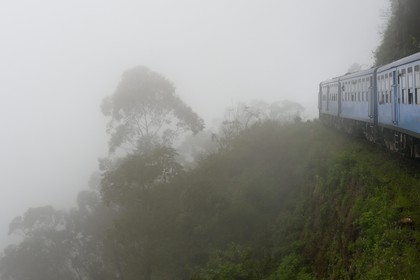 Sri Lanka, Province d'Uva, trajet en train dans la région montagneuse de la culture du thé entre Hatton et Badulla, en bordure de la forêt de nuages du parc national de Horton Plains