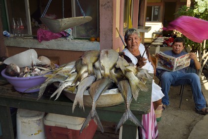 Nicaragua, Leon, Sutiaba district market, the saleswoman moves away the flies from her fishes