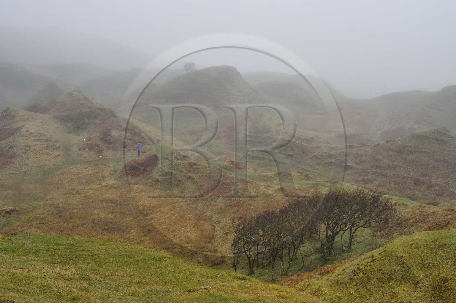 Royaume-Uni, Ecosse, région des Highlands, les Hébrides, Ile de Skye, Uig, le Fairy Glen (vallée féérique) du côté ouest de Trotternish à Balnacnoc