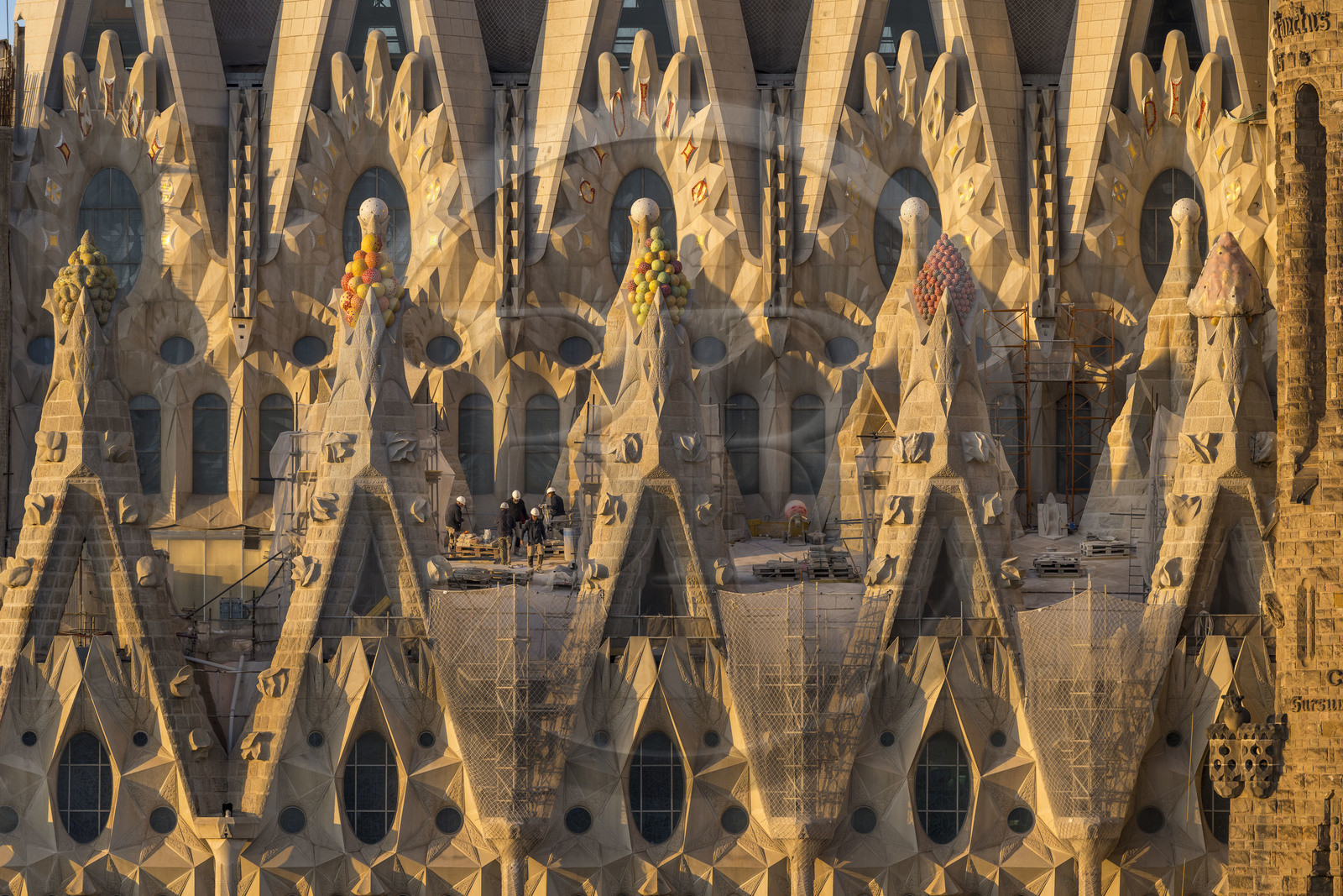 Espagne, Catalogne, Barcelone, quartier de l'Eixample, basilique de la Sagrada Familia de l'architecte du modernisme catalan Antoni Gaudi classée Patrimoine Mondial de l'UNESCO, sommets surmontés de mosaïques en forme de fruits entourant le chantier sur le toit de la nef ici côté facade de la Passion