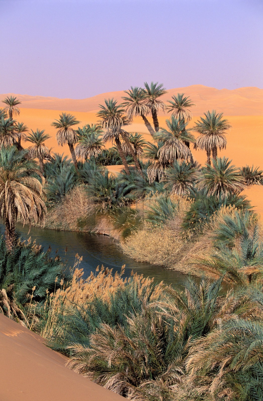 Libye, région du désert, Le Fezzan (Sahara), Erg Ubari, Lac d'Oum El Ma