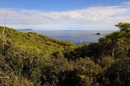 France, Var (83), Iles d'Hyères, parc national de Port Cros, Ile de Porquerolles, la côte Sud-Est sauvage vers la crique de la Galère, l'Ile de Port Cros en arrière plan