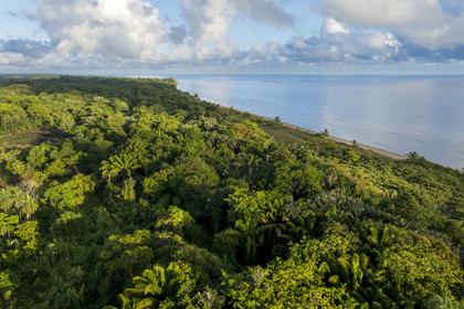 France, French Guiana, Kourou, wetlands, forests and savannas protected within the space centre and managed by the National Forestry Office (ONF), it is bordered to the Northeast by the Kourou beach (aerial view)