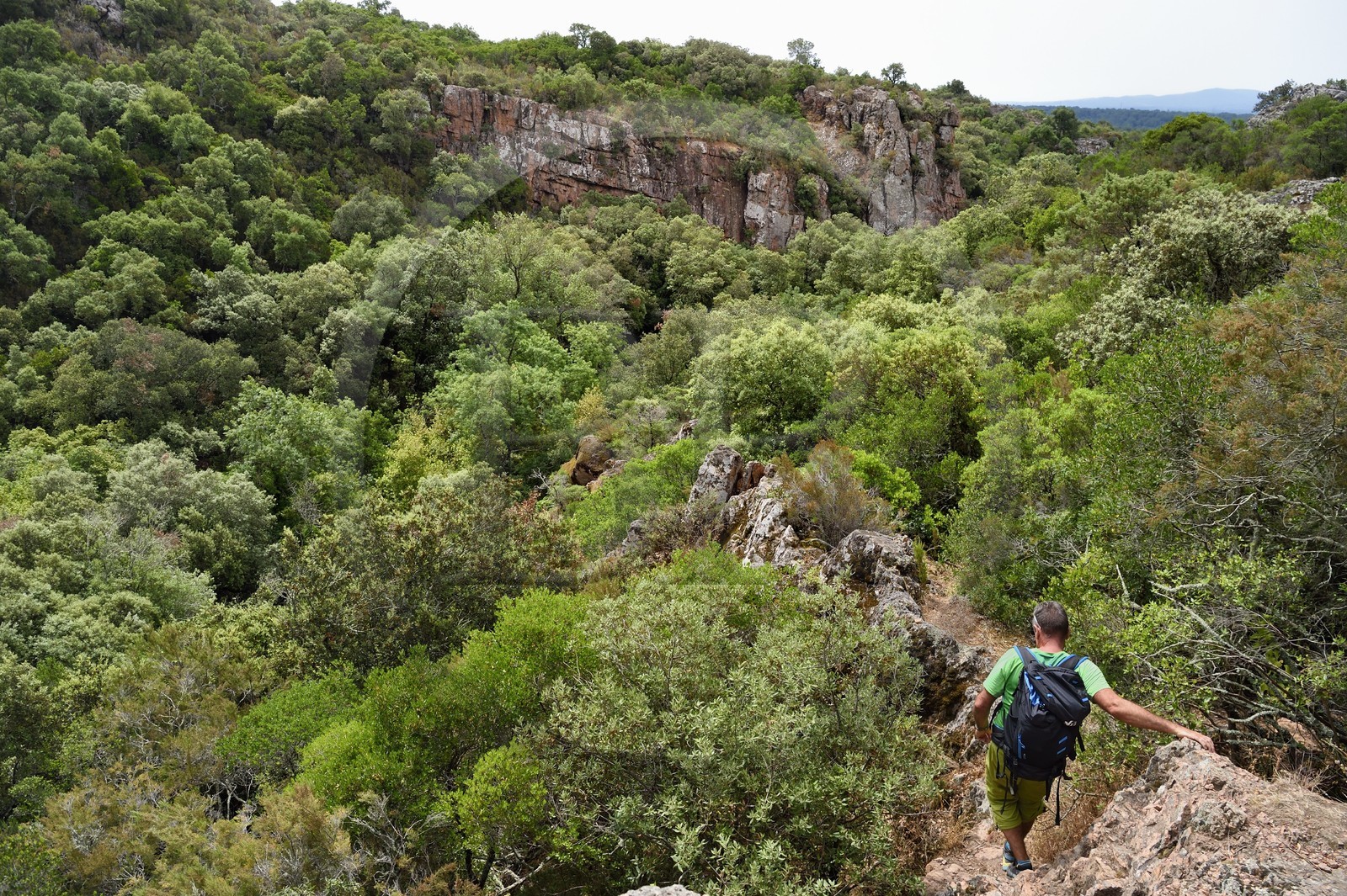 France, Var (83), entre Bagnols-en-Forêt et Roquebrune-sur-Argens, randonnée dans les Gorges du Blavet