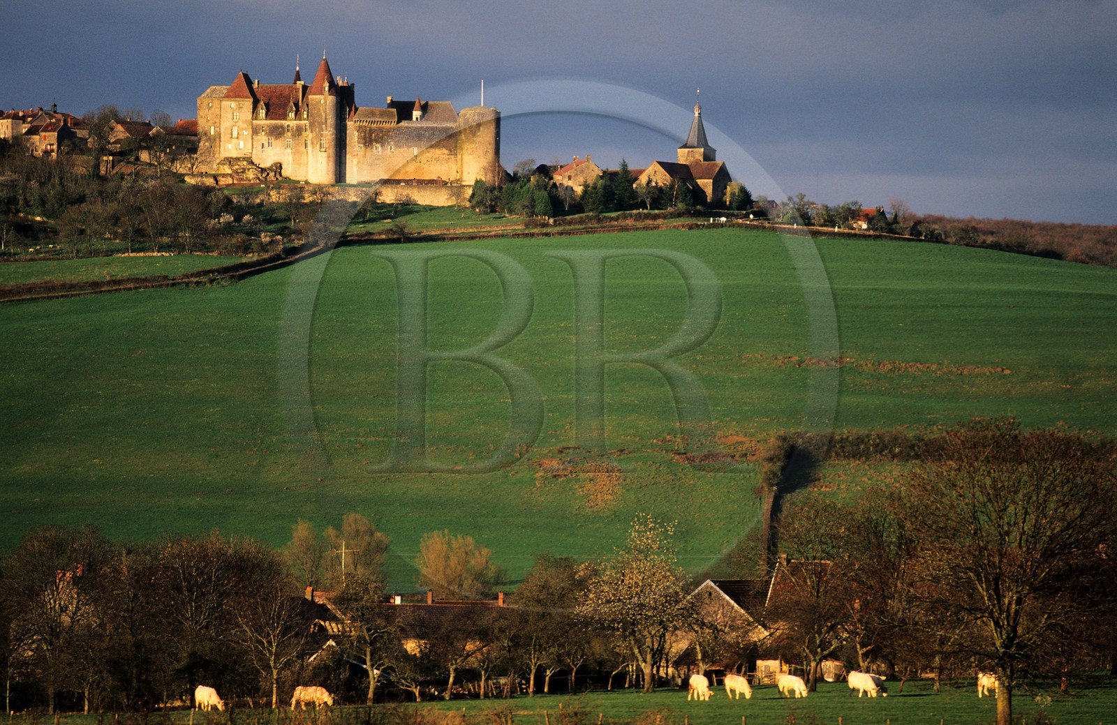 France, Côte-d'Or (21), Châteauneuf-en-Auxois, le château fort et le village perché