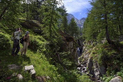 France, Alpes-Maritimes (06), parc national du Mercantour, vallée de la Valmasque,