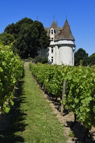 France, Dordogne, Purple Perigord, the castle of Monbazillac among the vineyards