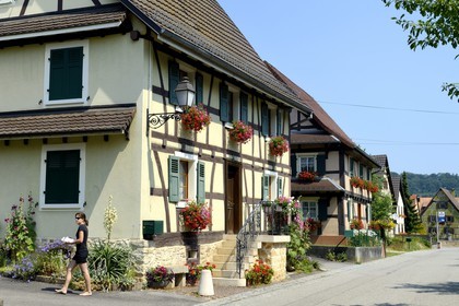 France, Haut-Rhin (68), Sundgau, Hirtzbach, maison à pans de bois dans la rue principale