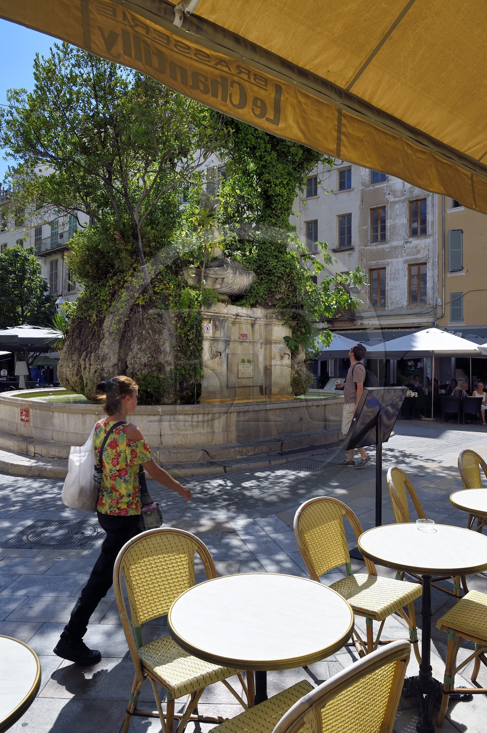 France, Var (83), Toulon, place Puget, Brasserie Le Chantilly et fontaine de la Halle aux Grains