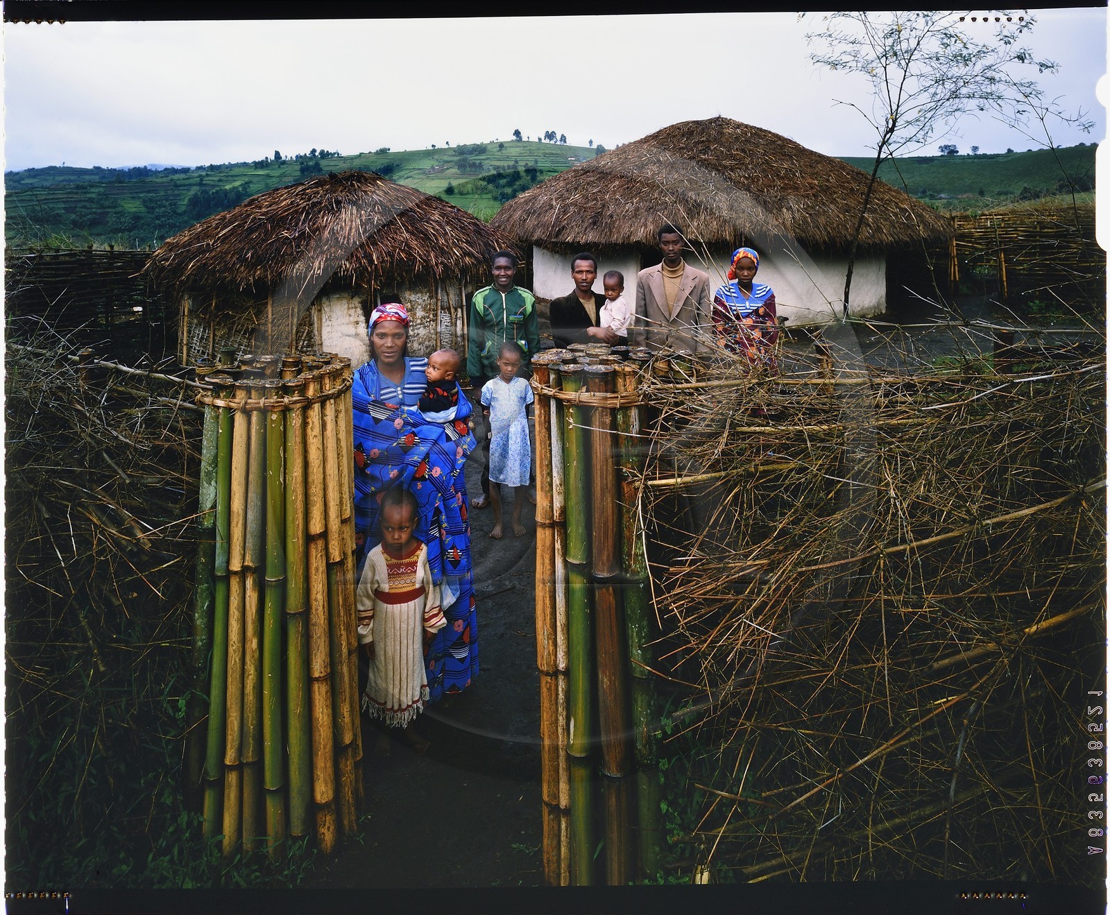 Burundi, province de Bujumbura, région d'Ijenda, famille Tutsi dans l'enceinte principale du rugo (ferme traditionnelle), à droite se trouve la maison d'habitation et à gauche la case qui abrite les jeunes veaux (reproduction plan-film inversible 4x5)
