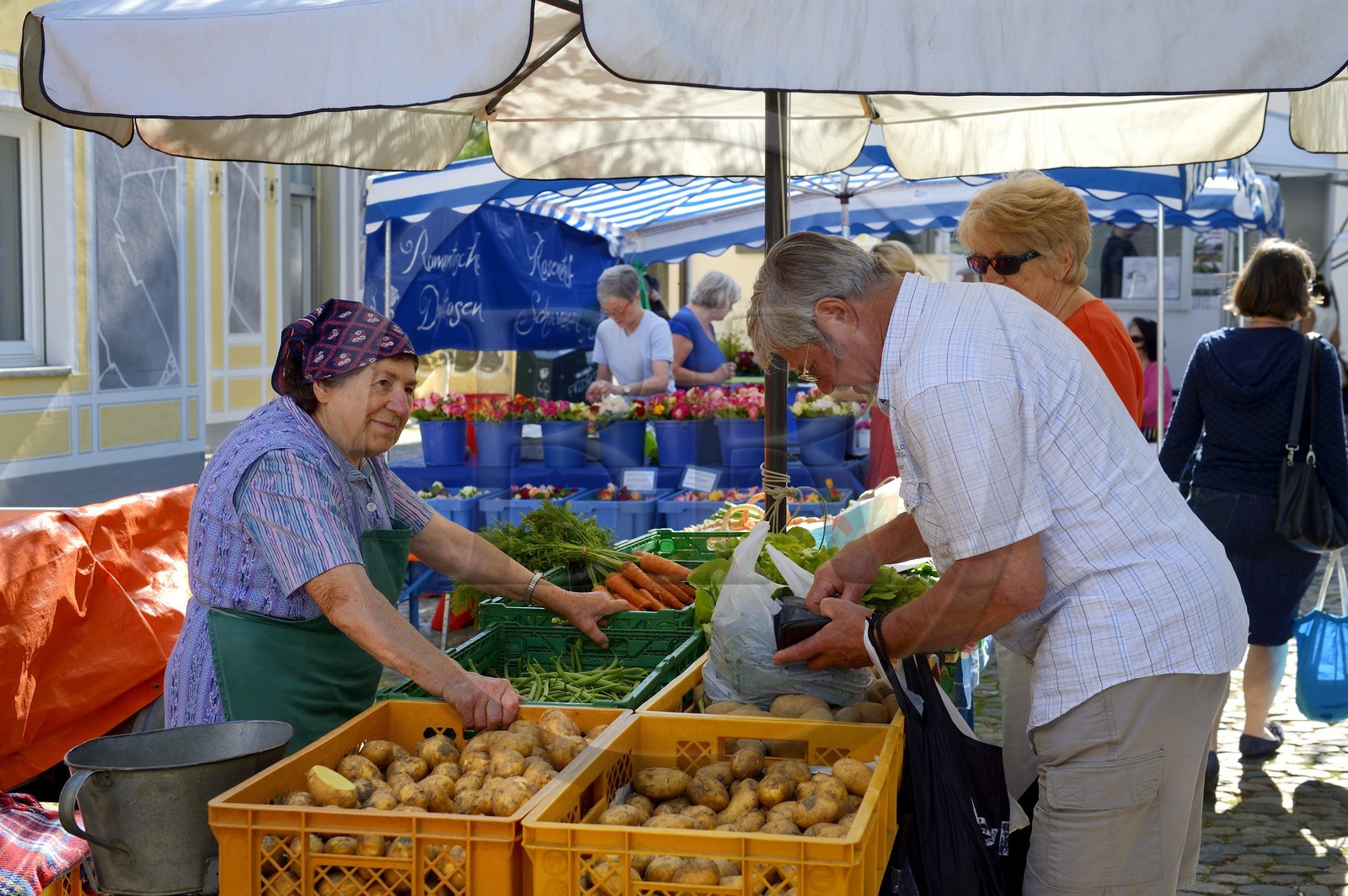 Allemagne, Bade-Wurtemberg, Fribourg en Brisgau, jour de marché sur la Munsterplatz