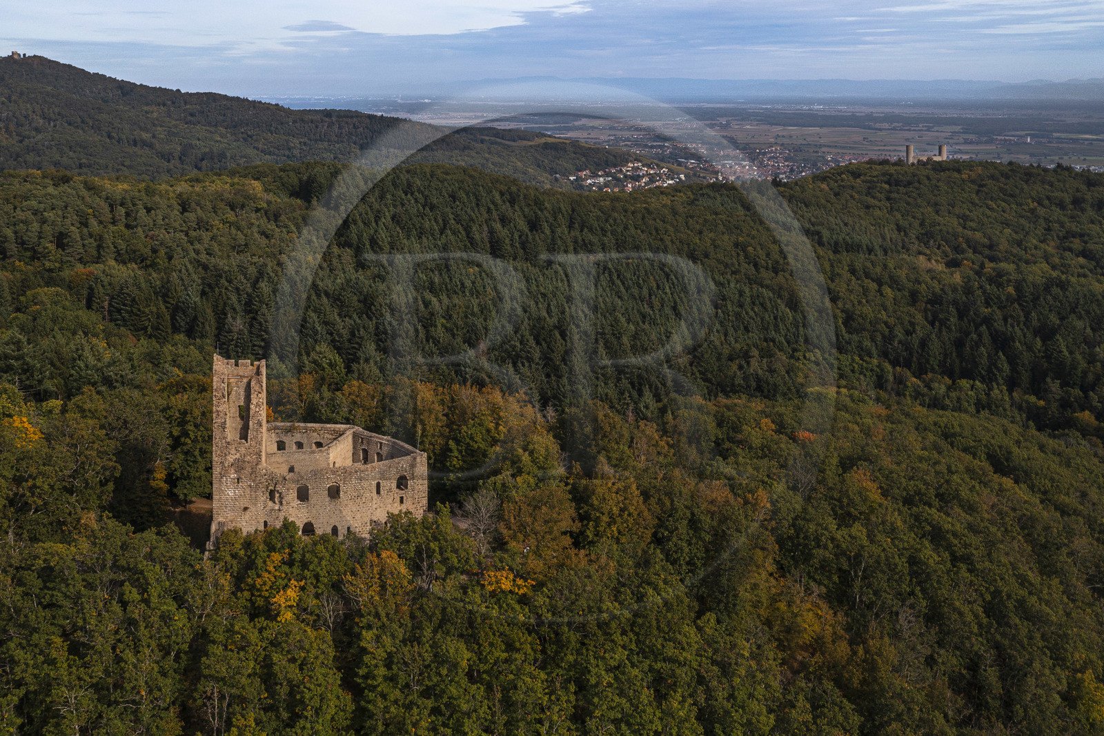 France, Bas Rhin, Alsace Wine Route, Andlau, the castle of Spesbourg built around 1250, Andlau castle and the plain of Alsace in the background (aerial view)