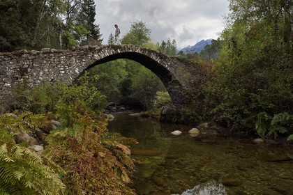 France, Corse du Sud, Prunelli river valley, Bastelica, Zippitoli genoese bridge