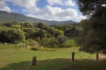 France, Corse du Sud, prehistoric site of Filitosa, alignment of menhirs statues and the oppidum in the background
