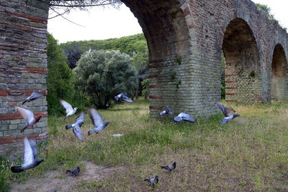 France, Var, Frejus, Forum Julii, park of the Villa Aurelienne, Roman aqueduct