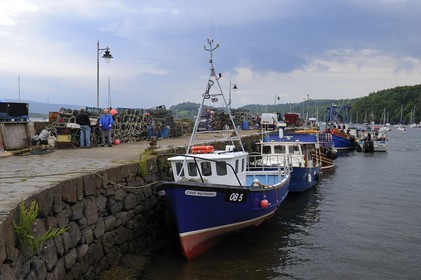 Royaume-Uni, Ecosse, Highland, Hébrides intérieures, Ile de Mull, port de Tobermory