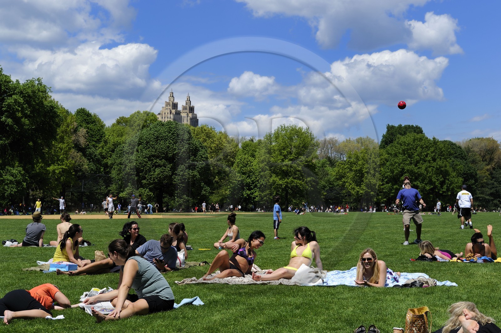 Etats-Unis, New York, Manhattan, Central Park, farniente et sport le dimanche sur la pelouse du terrain de baseball