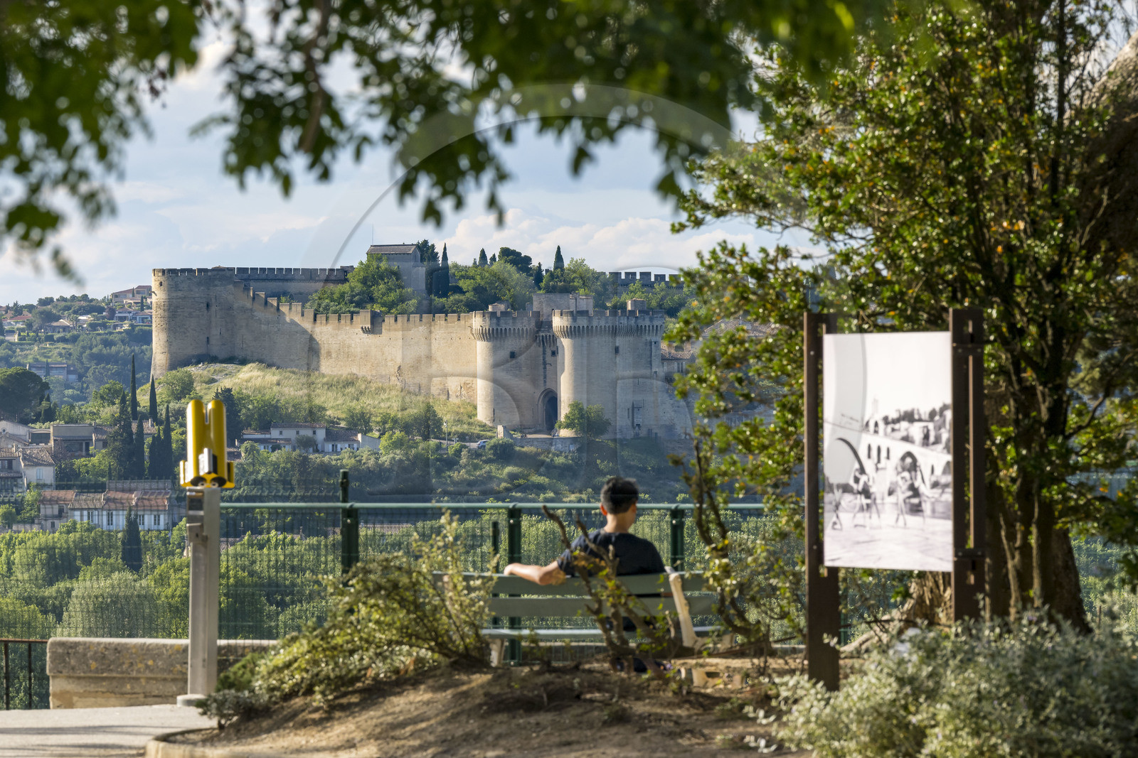 France, Vaucluse (84), Avignon, le Fort Saint-André à Villeneuve-lès-Avignon vu depuis le Jardin des Doms