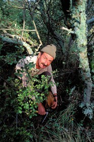 France, Vaucluse (84), Saint-Pierre-de-Vassol, Jean Spati, trufficulteur (Comtat Venaissin)